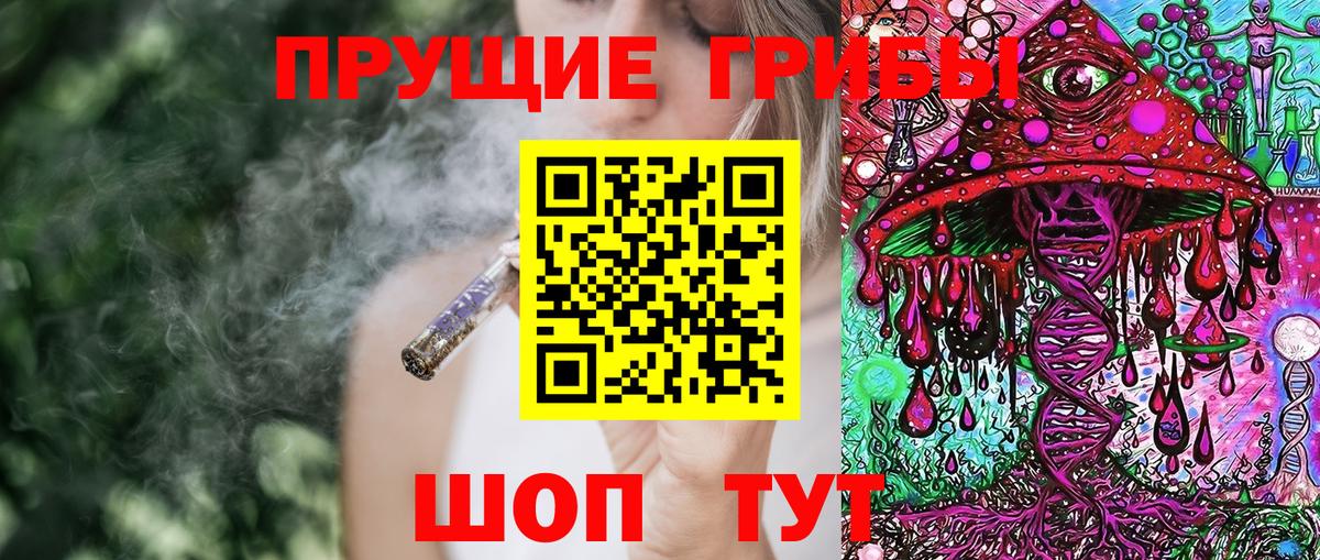 Псилоцибиновые грибы Psilocybe  Галлюциногенные грибы мухоморы  Вход с VPN  Белая Калитва 
